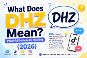What Does DHZ Mean? Powerful Guide to Its Meaning (2026)