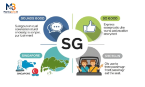 What Does SG Stand For? Powerful Guide to Its Meanings 2026