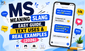 ms meaning slang