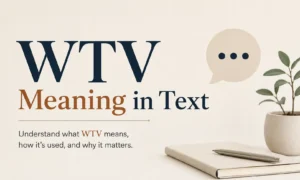 wtv meaning in text