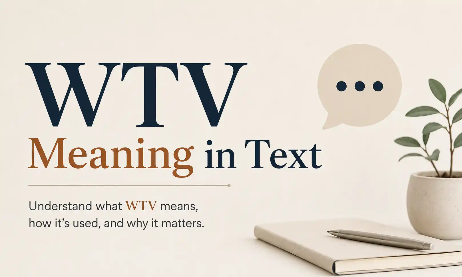 wtv meaning in text
